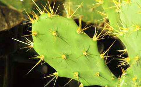 �������ơ������̰�