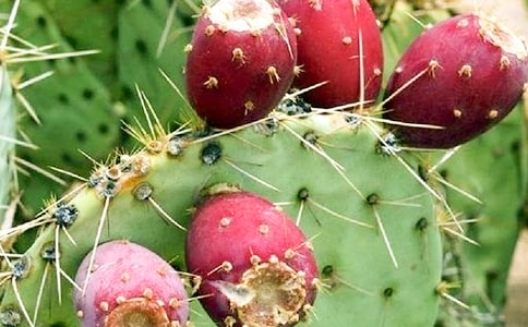 ����������������Ʒ�����