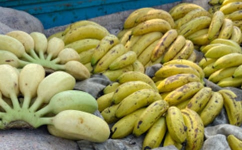 �㽶��Ӫ����ֵ�뱣������