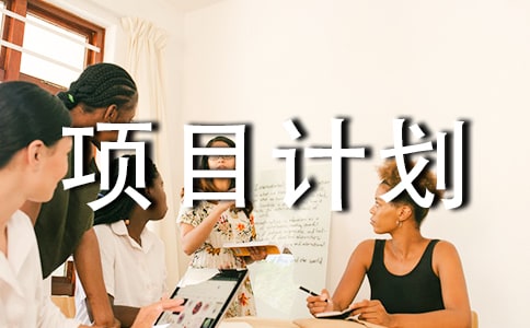 【精选】项目计划