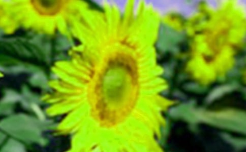 Ϳ���տ�С�������̰�����