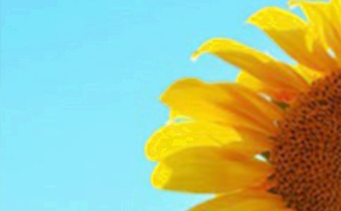 ����ֲ���տ����а�̰�