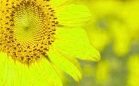 ���̰������տ���