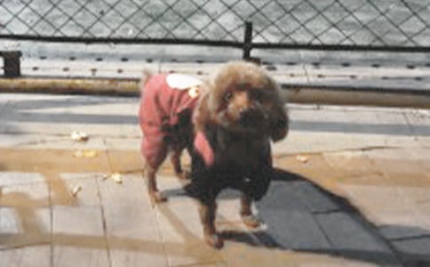 С��̧���δ��̰�