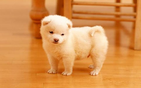 С��̧���ν̰���