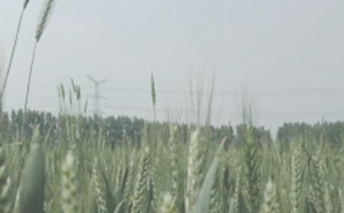 С��ǰ������ԭ�򼰷��ش�ʩ