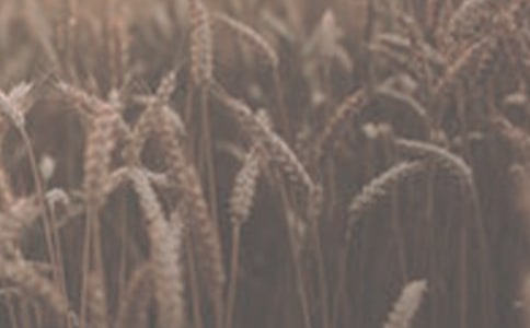 ������⡶�����С�󡷽̰�