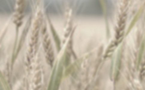 С������ͬ