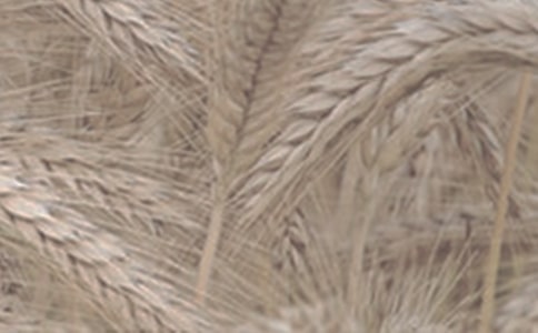 ��С���Ӫ����ֵ