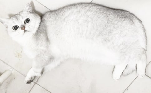 Сè����Ľ̰�11ƪ