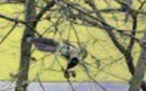 �а�С��������˼