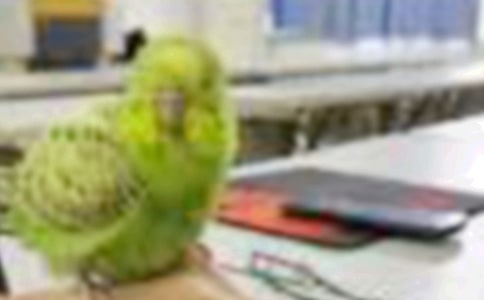 С����û��˼