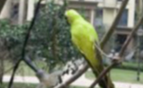 �а����Խ̰�������С��