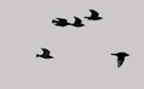 ιС���а�������̰���˼