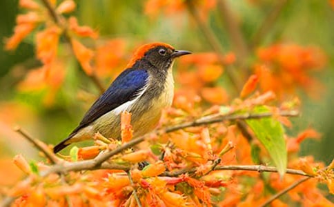 С������ ���˼