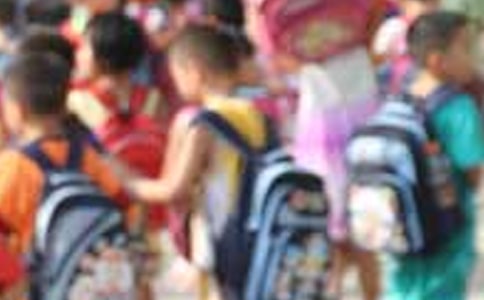 小学生义工活动总结