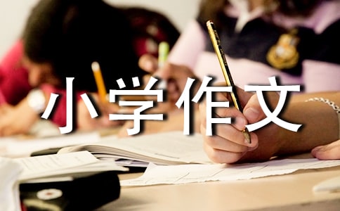 小学作文 环保建议书