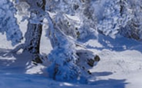 小雪节气的赞美简短文案