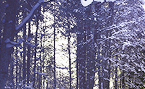 Сѩ�Ľ����ص����������