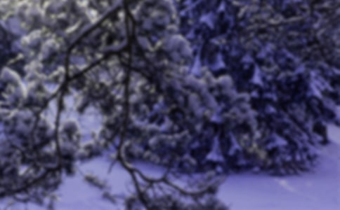 小雪节气吃什么(8篇)