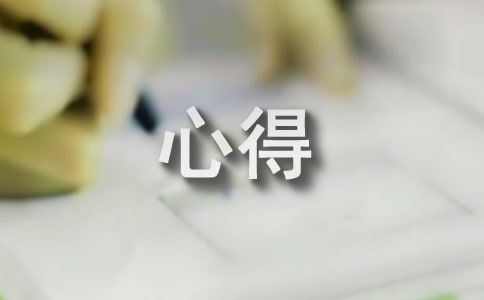 创业之星实训心得