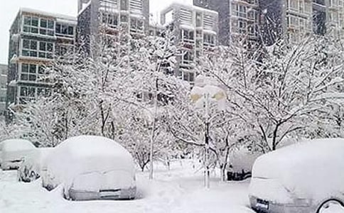 ������ѩ�ֺ�Ӧ��Ԥ��15ƪ