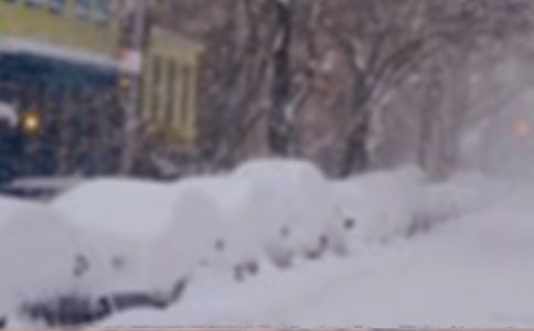 ����ѩ��Ӧ��Ԥ��