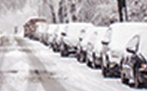 ��ѩ�ֺ����յ�Ӧ��Ԥ��