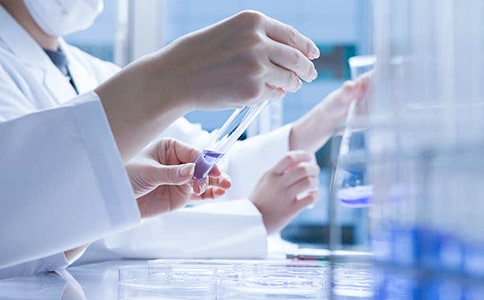 博士后研究人员工作协议书