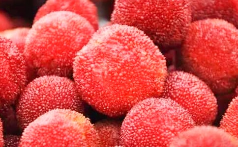 ���Ұ��������÷���̰�15ƪ