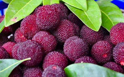 ժ��÷��߻�����