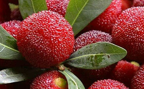 ��÷����Ҫ��ʶ