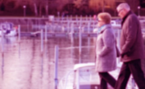 爷爷和小树优秀教案