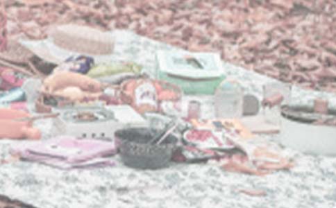 亲子野餐活动方案