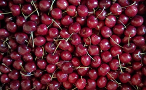 樱桃的种植与管理