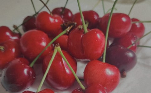 大樱桃的组培炼苗