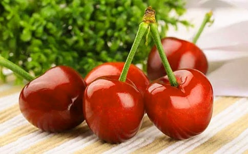 温室大棚樱桃管理