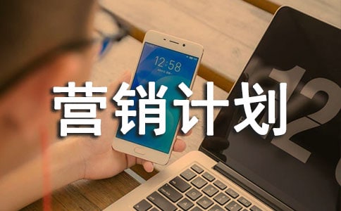 ����Ӫ���ƻ�����ģ��