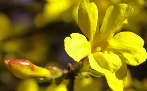 С�ࡶӭ�������̰�