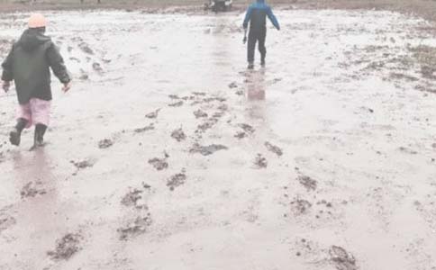 油田工作展望范文