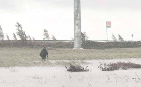 �����������ʵ������