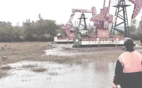 �����������ʵ������