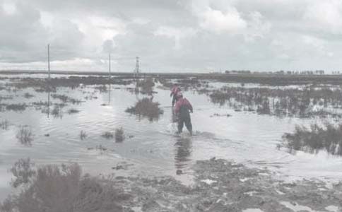 ���ﷴ��Υ�ĵ����