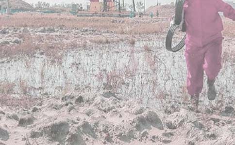 ���ﰲȫ���ܽ�