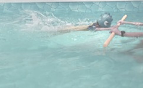 ѧ����Ӿ��ȫ�����ƶȣ�ͨ��10ƪ��