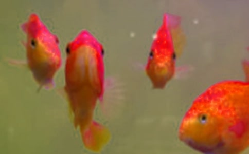 ���繩����ͬ