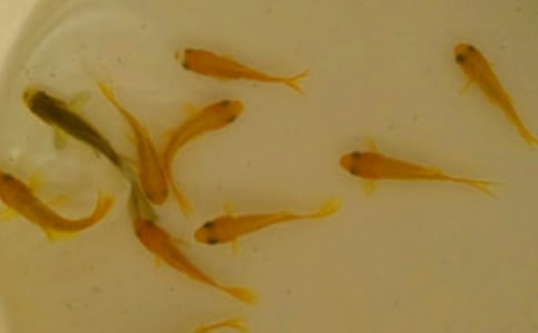 ���繺����ͬ