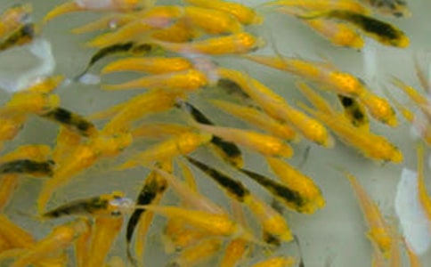 ���繺���ĺ�ͬ