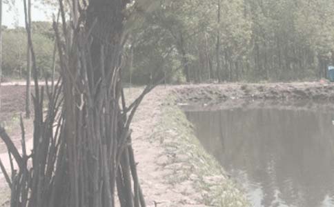 �����а���ͬ���Ƽ���