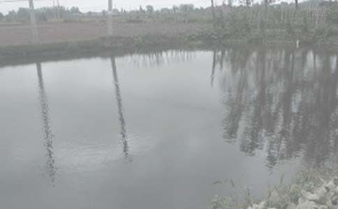 �а�����Э����